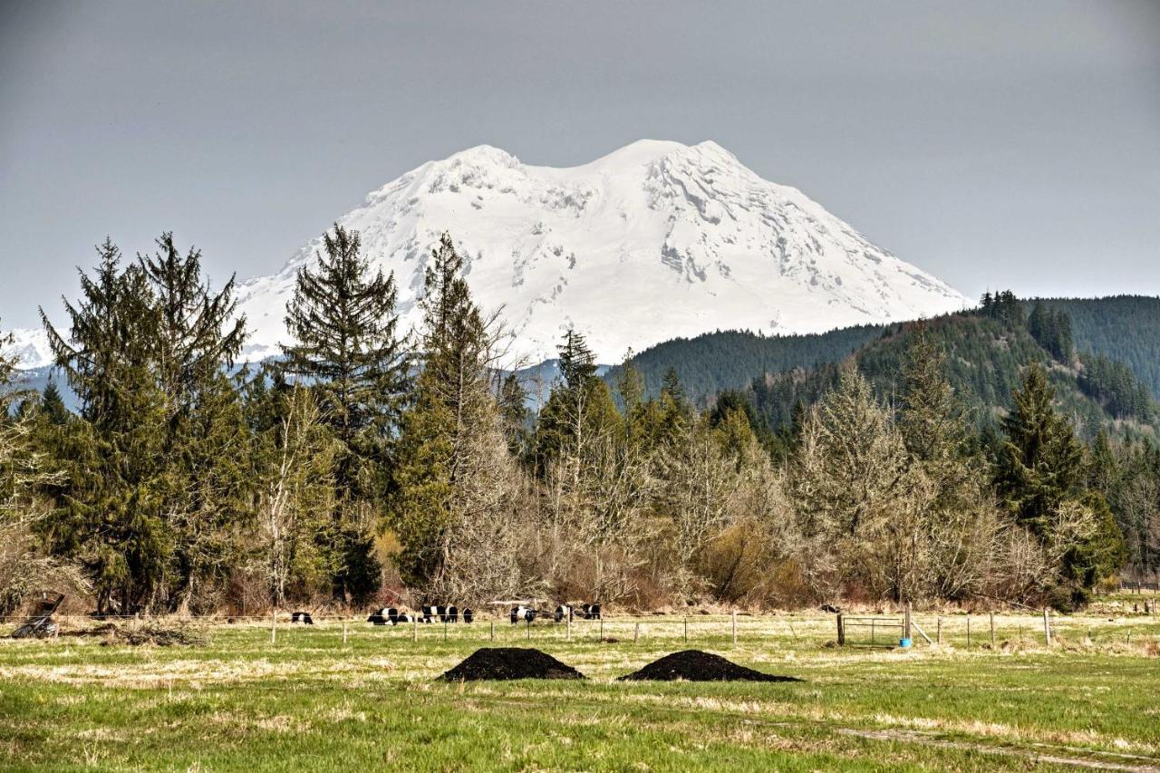 Serene Washington Escape With Deck And Mountain Views! Packwood Buitenkant foto